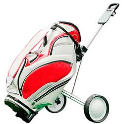 CARRO-DE-GOLF-DE-2-RUEDAS-500x500